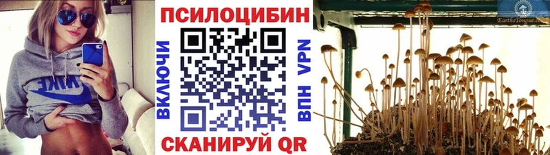 Галлюциногенные грибы GOLDEN TEACHER Кисловодск
